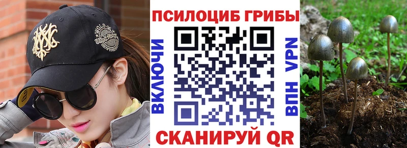 где продают   Иннополис  Псилоцибиновые грибы GOLDEN TEACHER 